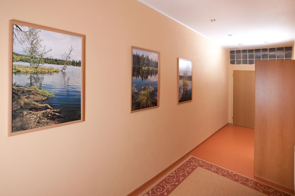 Homely Apartments Villa Christiana Marianske Lazne Room photo